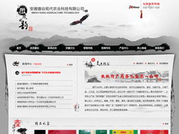 藝創網絡 打造專業產品展示類網站，助力企業營銷升級